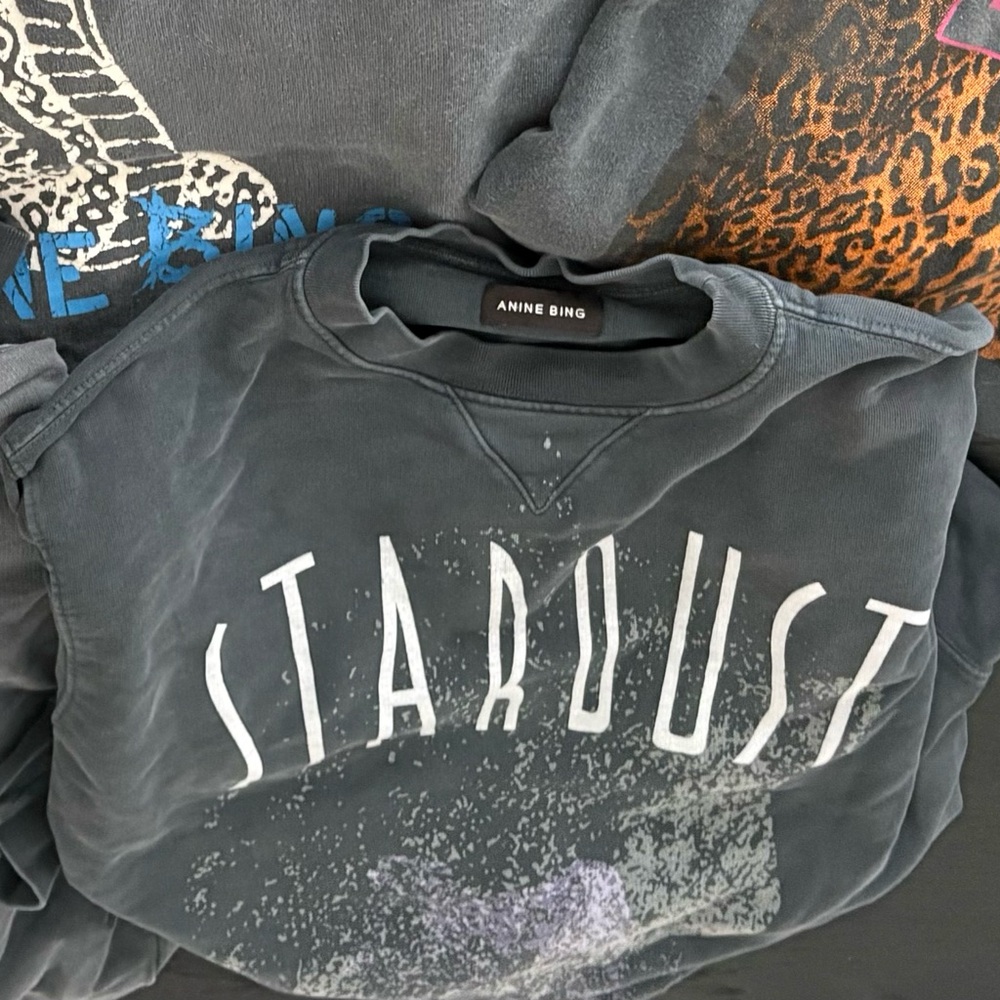 Anine Bing Stardust Sweatshirt